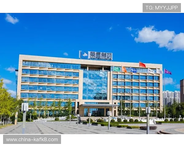 k8凯发(中国)天生赢家：如何打造行业领先的品牌影响力与市场竞争优势