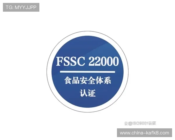 凯发·k8国际安全支付方式介绍,保障每一笔交易的安全与便捷 凯发·k8国际安全支付方式介绍,保障每一笔交易的安全与便捷