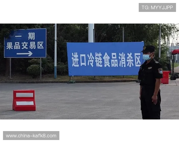 凯发入口官方入口地址详细介绍让玩家轻松找到正规安全登录通道 凯发入口官方入口地址详细介绍让玩家轻松找到正规安全登录通道